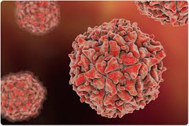 What Is Polio Virus